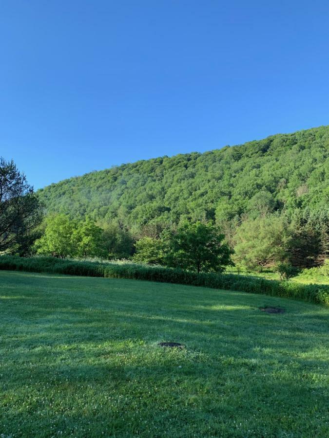 The Maples Apt - King Bed, Pet Friendly, Beautiful Views Ellicottville Esterno foto